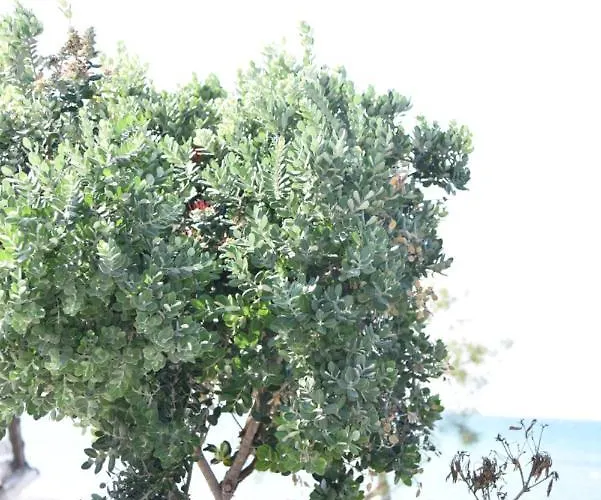 Appartamento Family 3